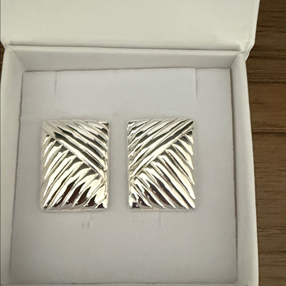 Heaven Mayhem Lined Silver Earrings